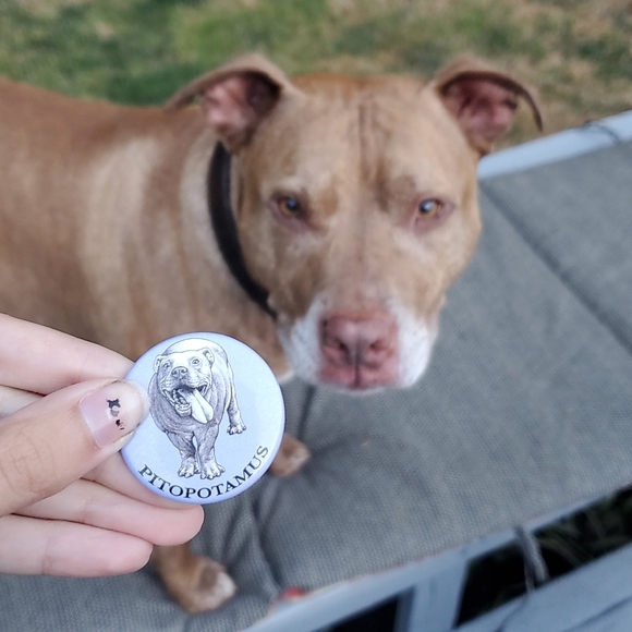 ๐POSH AMBASSADOR ๐ - Picture 5 of 5